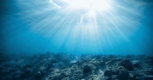 Philosophy of Science and Marine Environment awesome hidden secrets